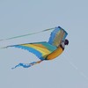 WindNSun Super Size 3D Blue Macaw Nylon Parrot Kite, 74