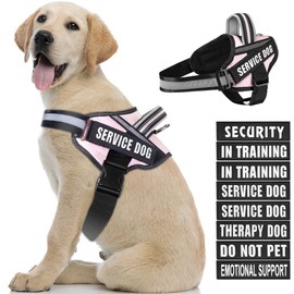 Dog Vest Harness and Patches Set, Animire in Training Service Dog Harness with 10 Dog Patches, Reflective Dog Vest with Handle for Small, Medium, Large, and Extra-Large Dogs