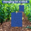 Qualirey 50 Pcs 6 x 8 Inch Sticky Traps for