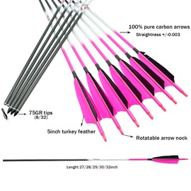 Linkboy Archery Carbon Arrows Hunting Practice Target Arrows Fluorescent with Removable Tip for Compound Recurve Long Bows, Spine 250 300 340 400 500 600 700 800, Pack of 6/12PCS
