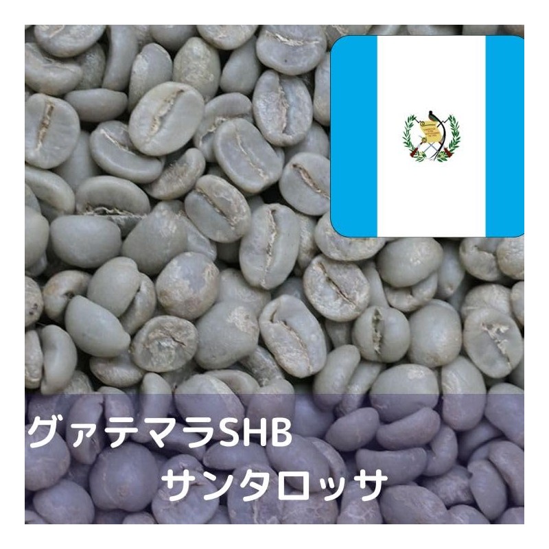 Coffee Raw Beans Guatemala SHB Santa Rossa S17 Q Grade