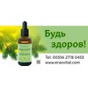 Polyprenoles from Siberian Conifers in Sacha Inchi Oil 50 ml