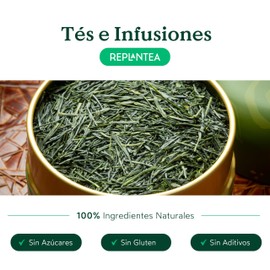 Bio Gyokuro Japanischer Grüntee (100g) | Premium Schattentee lose | Edler Umami-Geschmack & milde Süße | REPLANTEA