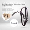 Ortocanis - Lumbar Connection Belt for Knee Brace, Belt Only,