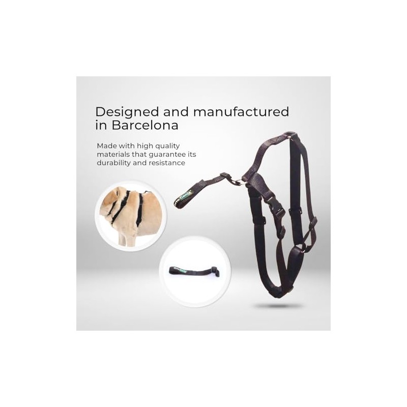 Ortocanis - Lumbar Connection Belt for Knee Brace, Belt Only,
