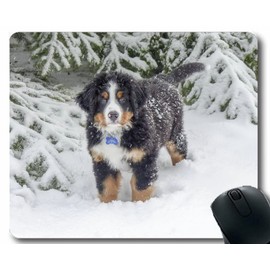 YENDOSTEEN Mouse Pads,Bernese Mountain Dog Mouse Pads 300x250x3 MM