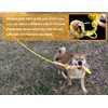 Dewonch Flirt Pole Dog Toys for Training & Exercise,Durable Teaser