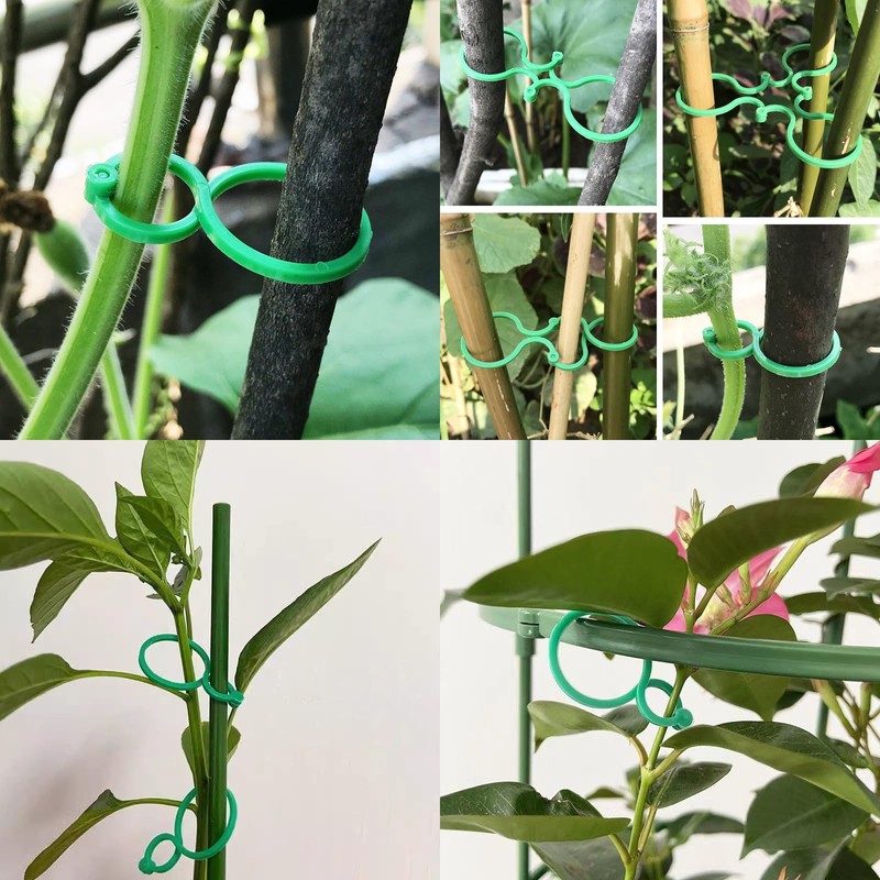Qgond 220PCS Plant Support Clips, Plastic Garden Clips for Tomato,