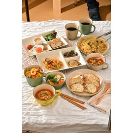 Tatsumiya 568998 Vacuum Stainless Steel Tumbler (Approx. 15.7 fl oz (450 ml), Brown "IN/OUTDOOR"