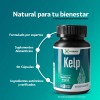 Kelp Algas Marinas - 60 Cápsulas De 500 Mg Sin