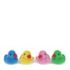 Rex London Erasers (Set of 4) - Ducks