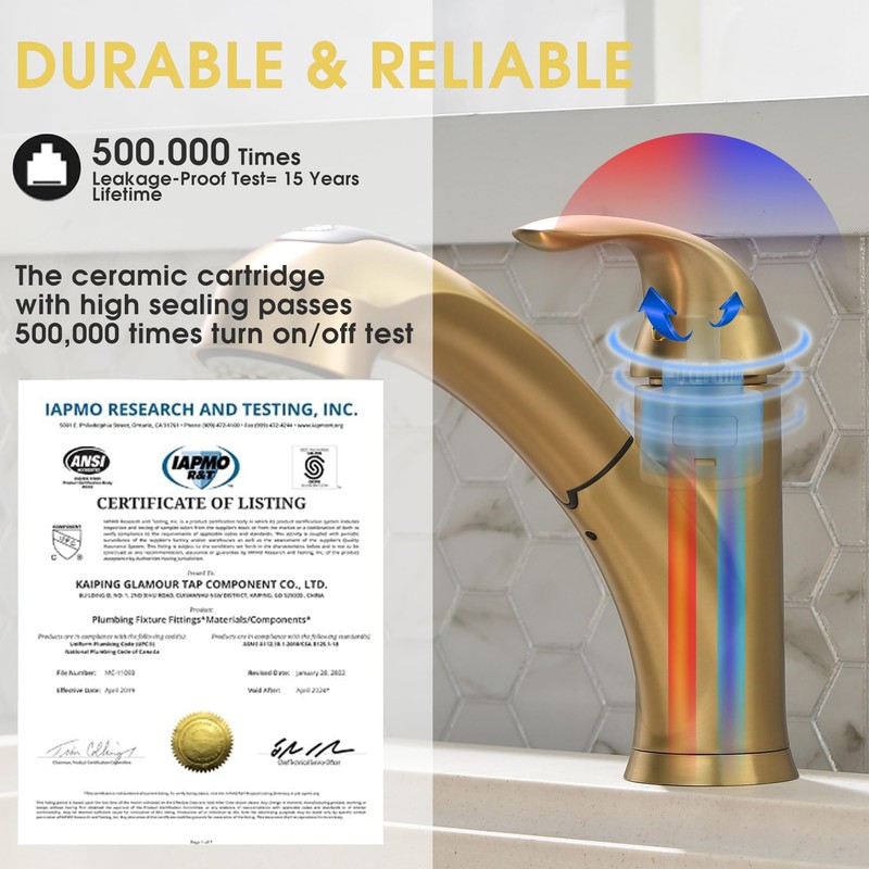 BRAVEBAR Gold Kitchen Faucet with Sprayer - Matte Brushed Gold