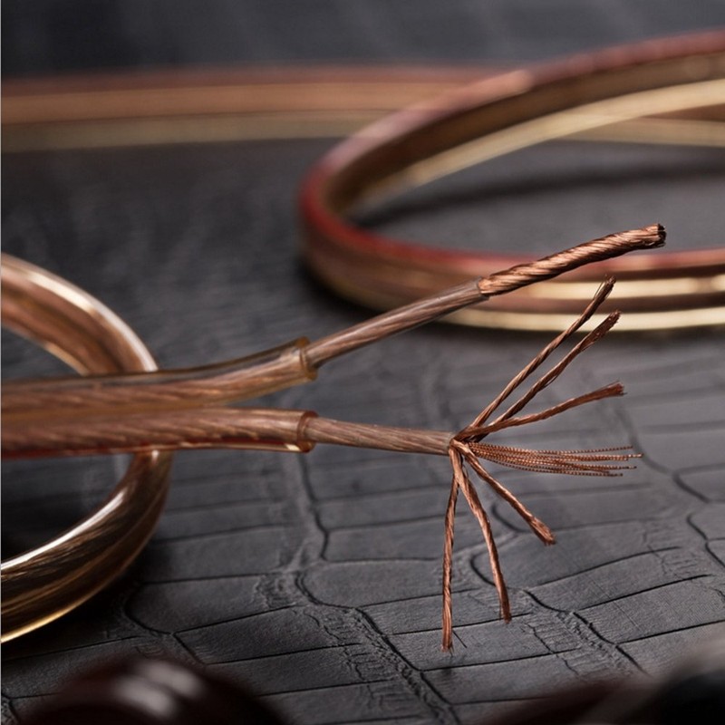 Speaker Cable, Speaker Cord, Audio Cable, High Purity OFC (10m,