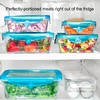 Stretch and Fresh Leak-Proof Food Container Set Stackable, BPA-Free Silicone