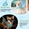 Eyein No-Pull Dog Harness with Lead, Soft Padded, Reflective, Adjustable,