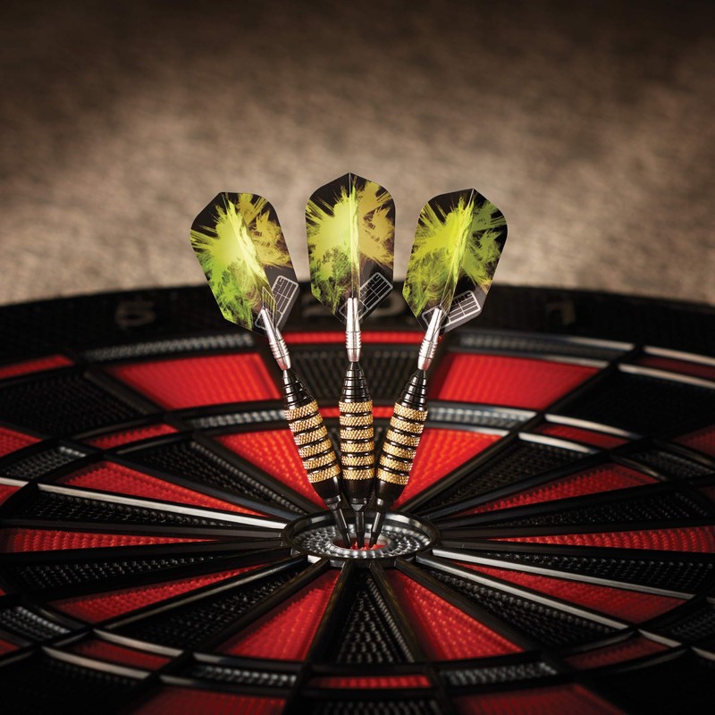 Viper Spinning Bee Soft Tip Darts with Casemaster Storage/Travel Case,