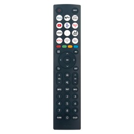 VINABTY Neu EN2R36 ErsatzFernbedienung EN2R36 TV Fernbedienung Ersatz für HISENSE Smart TV 2023 EN2R36 40A4K 32A4K 40A5KQ Remote Controller