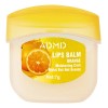 Bálsamo Labial Hidratante Repara Daños Aromas 24pzs