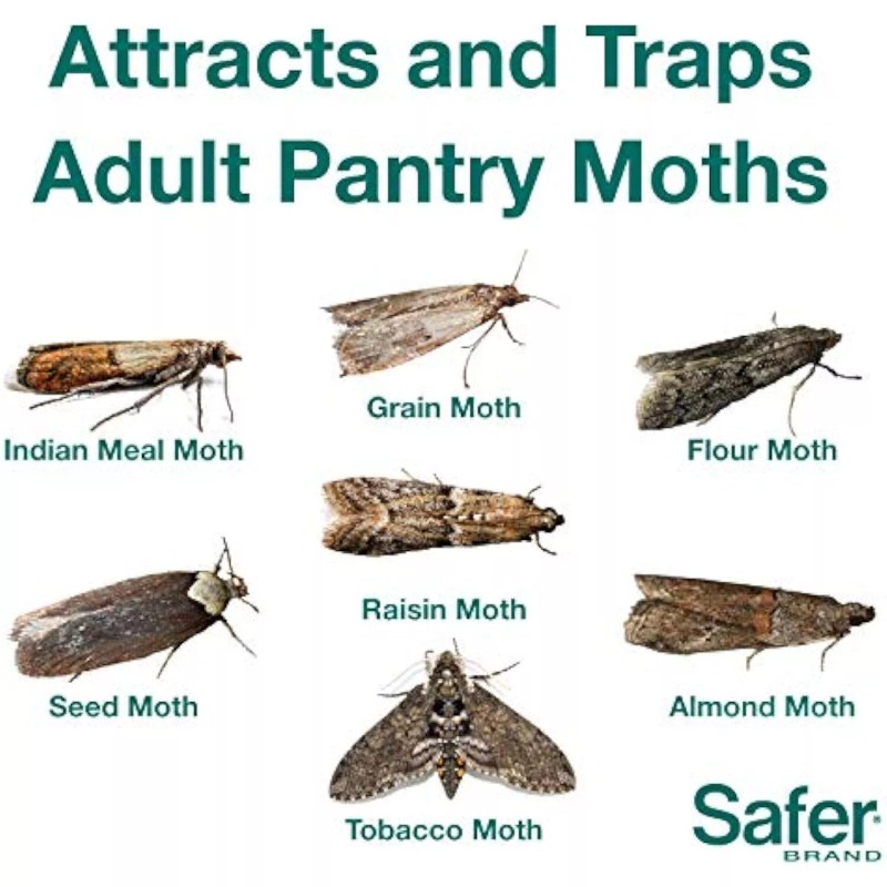Safer Brand 05140 The Pantry Pest Trap, 2 Moth Traps