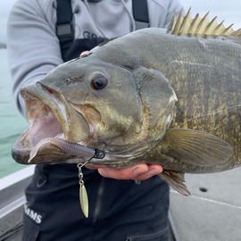 Great Lakes Finesse Drop Minnow - Iridescent - 2.75"