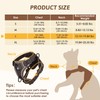GlasFlength Cat Harness with Lead, Escape Proof, Cat Lead with