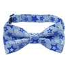 Alizeal Boys Printed Fun Novelty Pre-tied Kids Bow Tie, Light