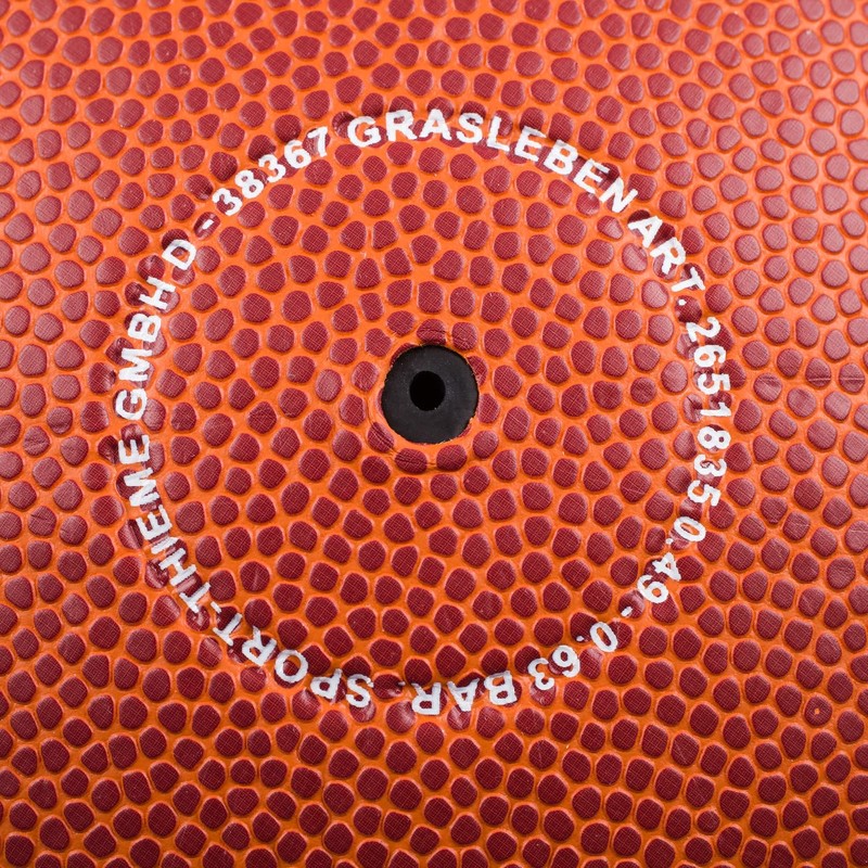 Sport-Thieme Basketball school