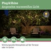 Paulmann 941.65 Outdoor Plug & Shine Light Chain IP 3000