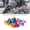 200PCS Pigeons Leg Rings Lightweight Compact Foot Bands Colorful Chicken