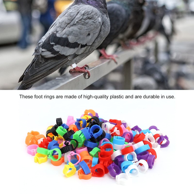 200PCS Pigeons Leg Rings Lightweight Compact Foot Bands Colorful Chicken