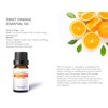 Citrus Essential Oil Set-Pack of 6,10ml, Pure Therapeutic Grade Fruity
