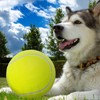 Segzwlor Dog Toy Ball - 9.5" Large Tennis Balls for