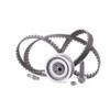 SKF VKMA01011 Timing Belt Kit