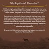 Equithrive Horse Electrolyte Pellets, Vitamins and Minerals Supplement, Equine Feed