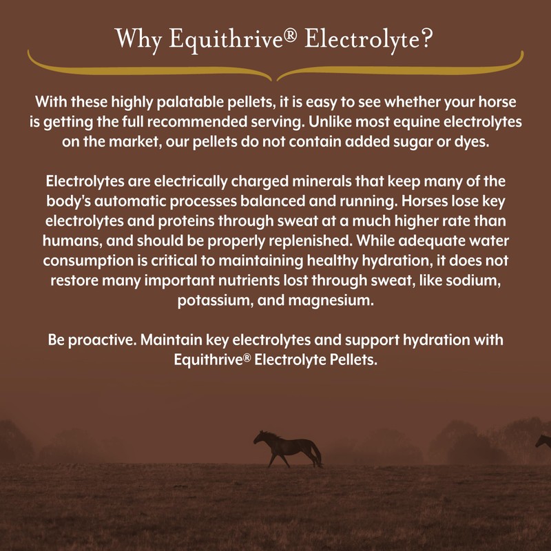 Equithrive Horse Electrolyte Pellets, Vitamins and Minerals Supplement, Equine Feed