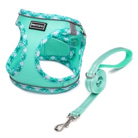 Mercano Soft Mesh Dog Harness and Leash Set, No-Chock Step-in Reflective Breathable Lightweight Easy Walk Vest Harnesses with Safety Buckle for Small Dogs, Cats (Light Green, S)