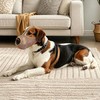 Bozal para Perro Malla Transpirable Cubierta bucal Reflectante Suave bozal