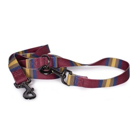 Pendleton Zion National Park Adventure Leash 1" w
