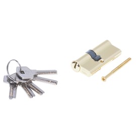Profile Cylinder 30/50 Brass with 5 Keys