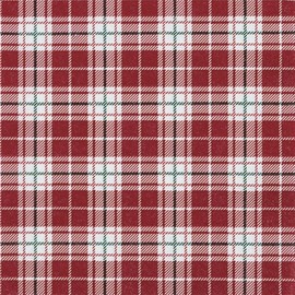 20 Napkins Fine Check Design Red Checked Checked Winter Christmas Table Decoration Decoupage Decoupage Decoupage 33 x 33 cm