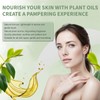 PHATOIL PHATOIL 260 ml (8.8 fl.oz) Frankincense Body Oil and
