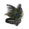 Women Flapper Headband Roaring 20s Accessories Fascinators for Women Hair