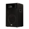 Acoustic Audio BR12 Professional DJ 12" 1000 Watt PA Monitor