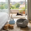 Paletta Raccogli Gatto Lettiera Con Supporto,Palettas Per Lettiera Gatto,Setacciatura Rapida,