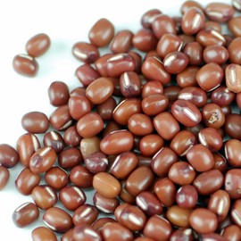Adzuki Bean Sprouting Seeds - 15 g Packet ~125 Seeds - Organic, Non-GMO, Heirloom - Also Called: Aduki, Chi & Dou Beans