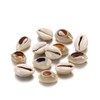 500pcs Gray 20mm Natural Spiral Shell Beads Smooth Cut Oval