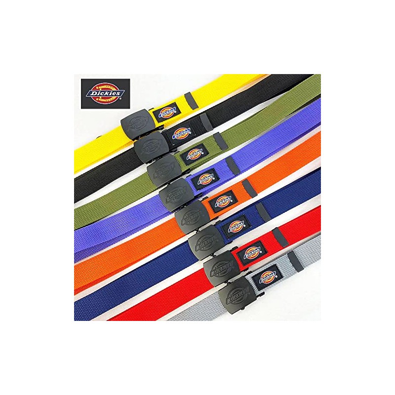 Dickies Nylon GI Belt (Yellow), yellow