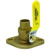 Webstone 41403 Isolation Pump Flange With Rotating Flange, 3/4 In.