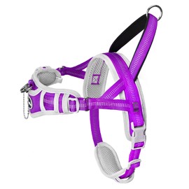 ADVENTUREMORE Small Dog Harness No Pull, Dog Halter Harness Adjustable Reflective Dog Vest Escape Proof Dog Harness with Easy Control Front Clip Handle for Training Walking XS Purple
