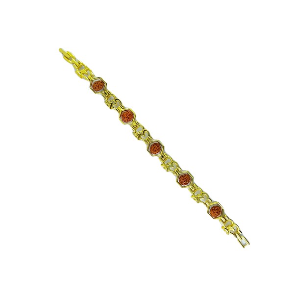 Generic 5 Mukhi Rudraksha Bracelet, 8 Inch, Brown, 8 Inch,